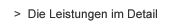 Die Leistungen im Detail